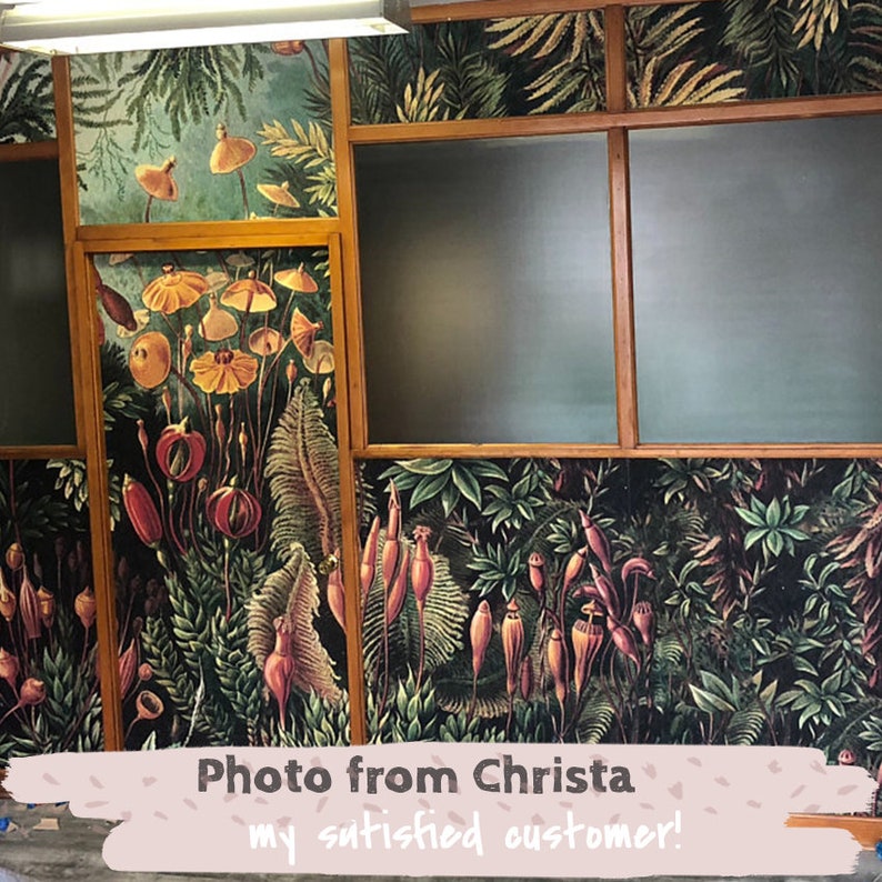 Amazonian Jungle Removable Wallpaper Repositionable Peel and Etsy New Zealand