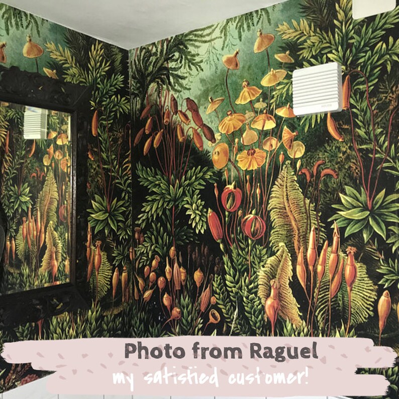 Amazonian Jungle Removable Wallpaper Repositionable Peel and Etsy New Zealand