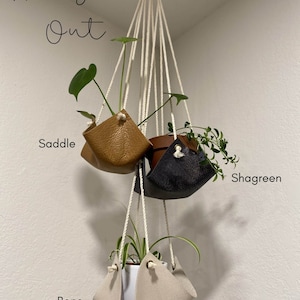 Leather Plant Hanger / Plant Stand / Planter / Hanger / Indoor Planter