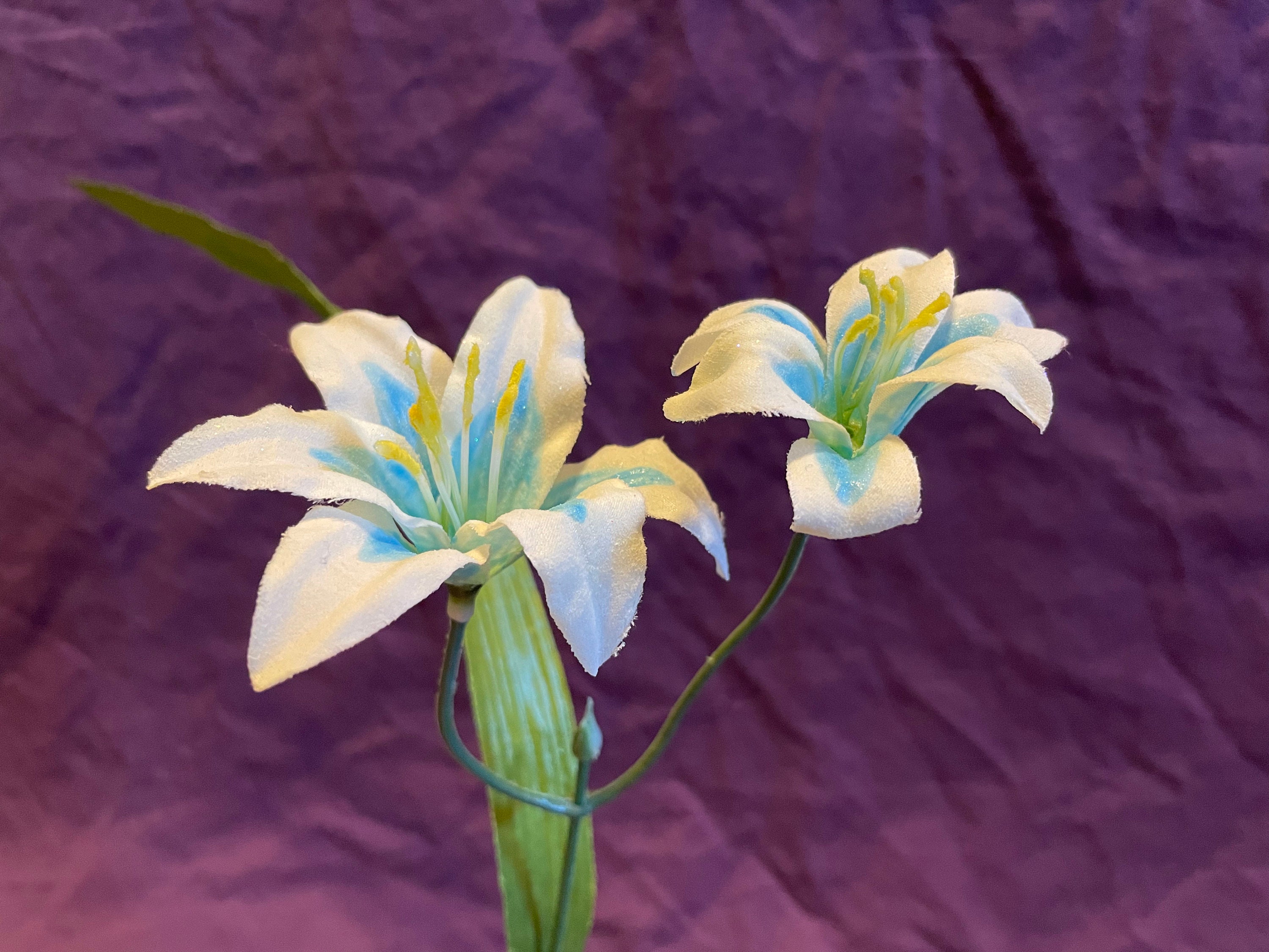 Silent Princess Flower GLOWS Zelda BOTW Small Duo Etsy