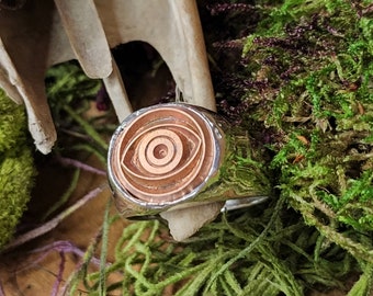 Evil Eye Round Top Signet Ring - Signet Ring - Witchcraft Aesthetic - Goth - Dapper Magician