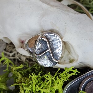 Puede incluir: Anillo de plata con una cara ovalada texturizada con la letra "A". El anillo se encuentra sobre un cráneo blanco y musgo verde, creando una estética rústica. El diseño del anillo es simple pero llamativo.