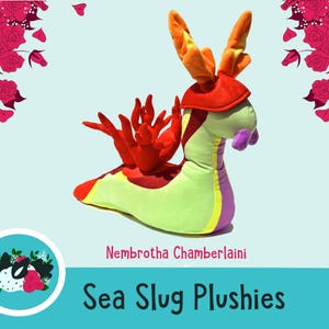 Sea Slug Plushie - Nembrotha Chamberlaini