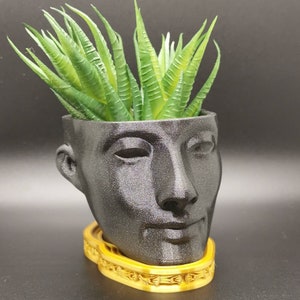 Nefertiti Vase, Oddish Planter Pot, Egyptian Decor, Modern Air Plant Display, Metallic Head Planter Pots, Funky Home Decor Gift, Drip Tray