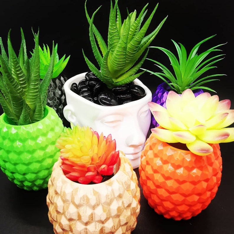Small Pineapple Planter Air Plant Display 3D Printed Etsy