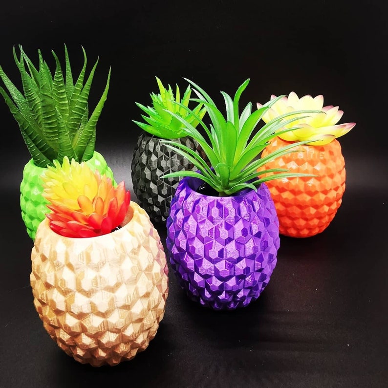 Small Pineapple Planter Air Plant Display 3D Printed Etsy