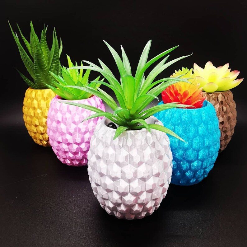 Small Pineapple Planter Air Plant Display 3D Printed Etsy