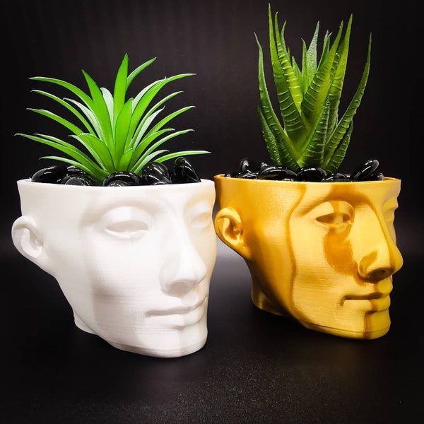 Nefertiti Vase, Planter Pot, Egyptian Decor, 3D Printed Planter, Modern Air Plant Display, Metallic Head Planter Pots, Funky Home Decor Gift