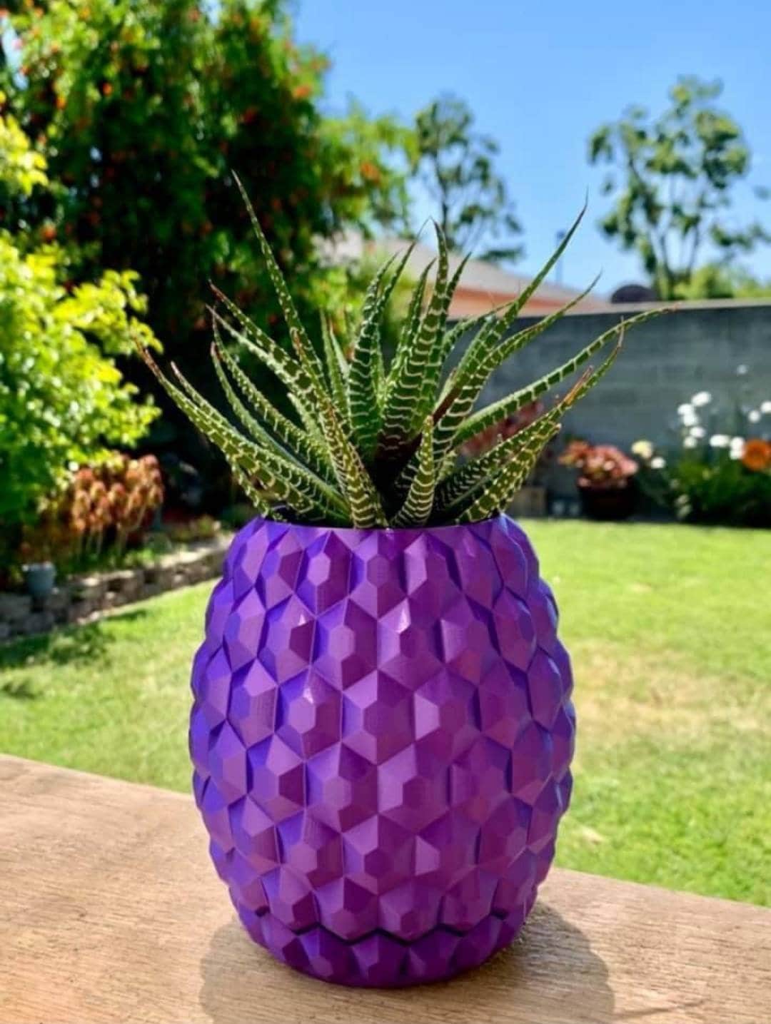 Large Pineapple Planter With Drain Plate Small Air Planter Etsy