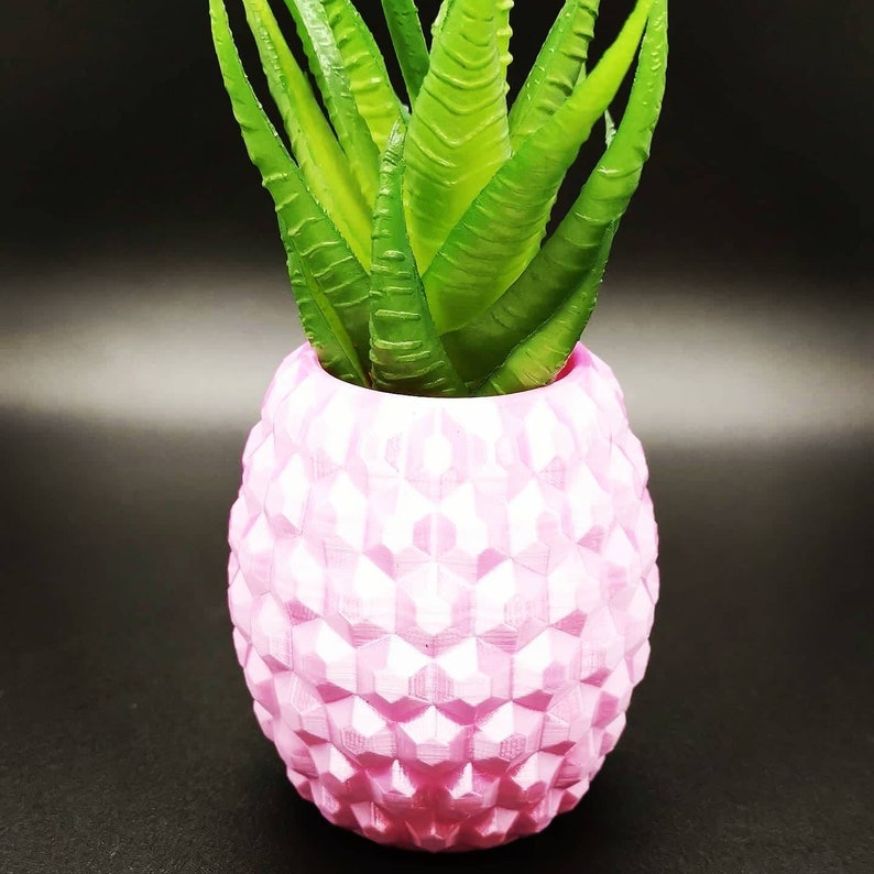 Small Pineapple Planter Air Plant Display 3D Printed Etsy