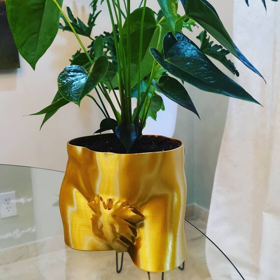 Funky indoor plant sale pots