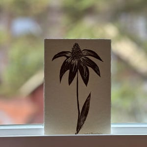 Coneflower Echinacea, original linocut, hand printed