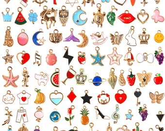 Assorted Collar Charms