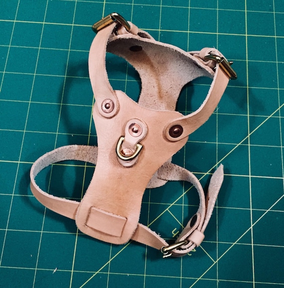 diy dog harness pattern