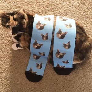 May include: A pair of blue socks with a repeating pattern of a cat's face. The cat has brown, black, and white fur. The socks are lying on a light brown carpet.