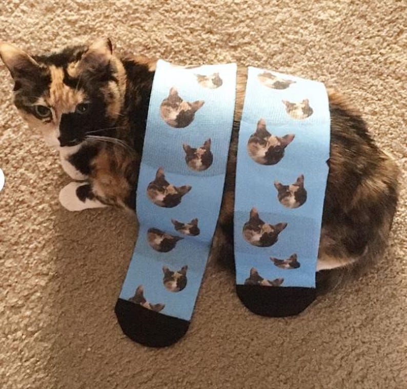 May include: A pair of blue socks with a repeating pattern of a cat's face. The cat has brown, black, and white fur. The socks are lying on a light brown carpet.