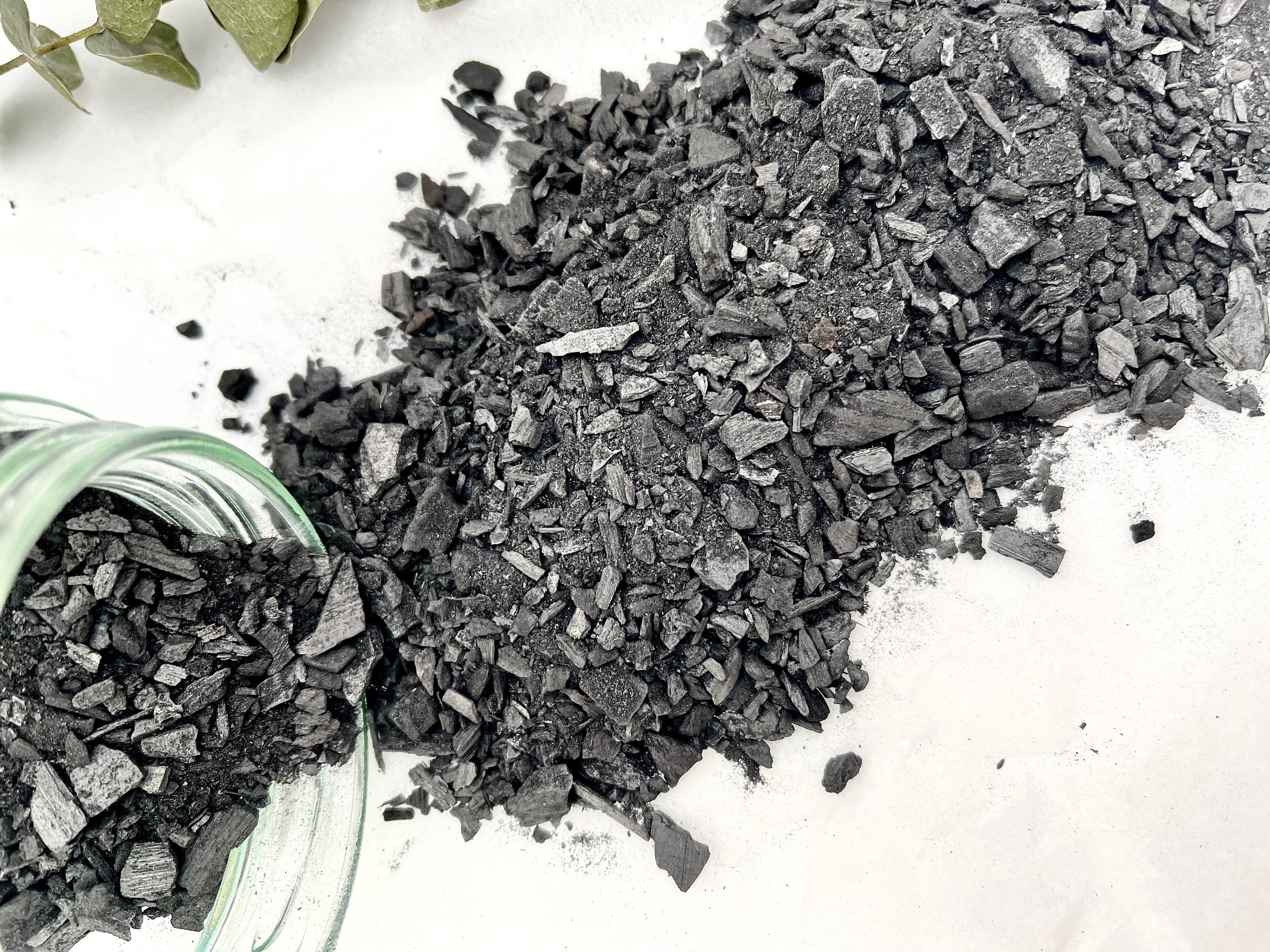 Horticultural Charcoal for bonsai terrariums and potted Etsy