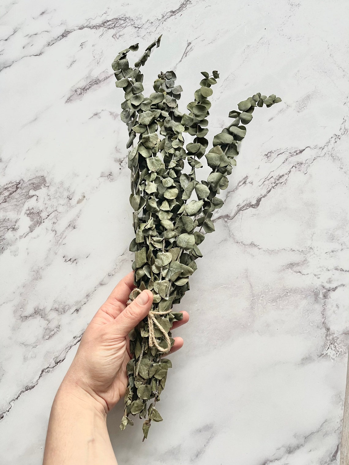 Natural dried real eucalyptus branches bundle Etsy