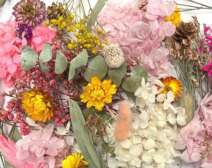 Colourful Dried Flowers for Crafting Etsy