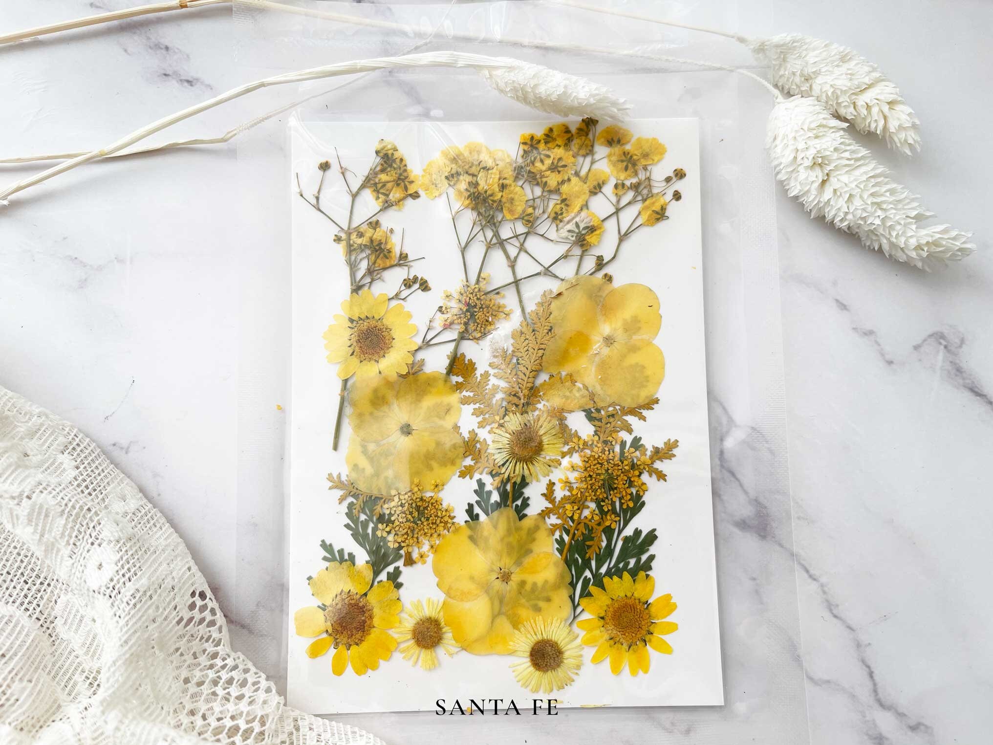 Dried Pressed Flowers for Resin Arts and Crafts Pressed Etsy