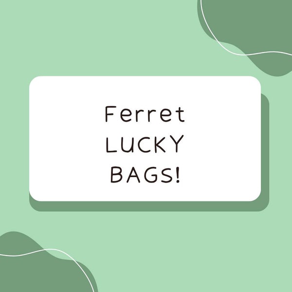 Ferret Toys/Treats Lucky Bag