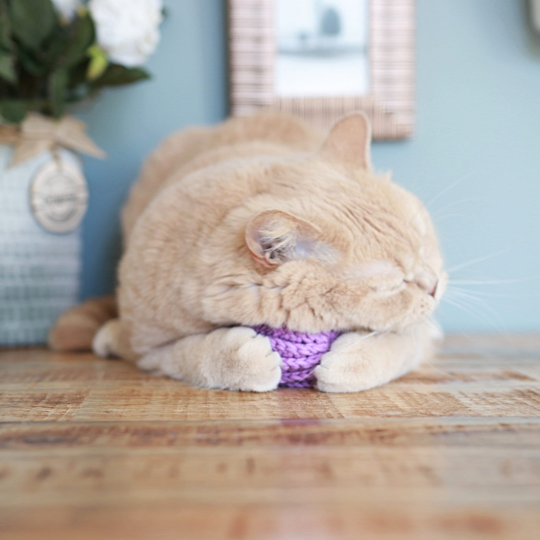 Meow Ruffle Ball Colorful Crochet Ball for a Cat With Catnip Etsy