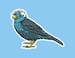 Birdie Sanders Sticker / Vinyl / Laptop Sticker / Small Bumper Sticker / Bernie Sanders 2020 / Bernie Sanders Bird Sticker 