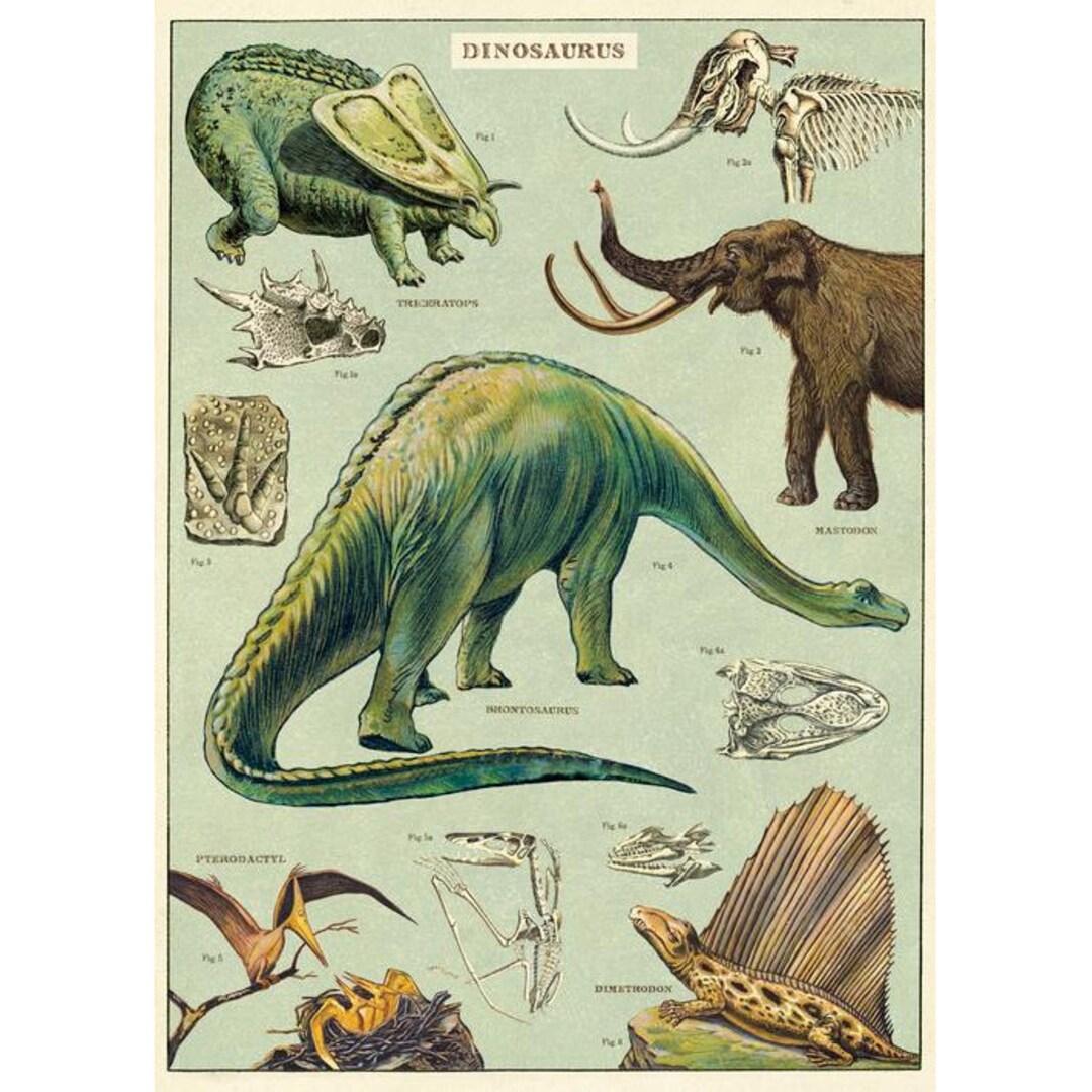 Dinosaurs Poster Paper Craft Wrap Decoupage 50 X 70cm Etsy