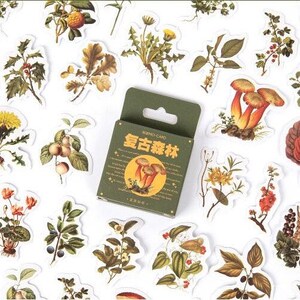 Herfstbosstickers bosbloemen en schimmel paardebloem minidoos | 46 verwijderbare sticker | Dagboeken voor scrapbooking