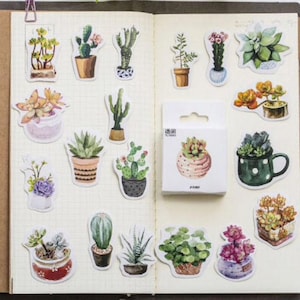 50 mini pegatinas para cajas con plantas de interior, cactus, suculentas, pegatinas despegables para álbumes de recortes y diarios