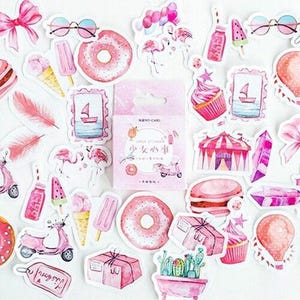 Minicajas de pegatinas de acuarela rosa / 46 bonitas pegatinas despegables / Tarjetas de papelería para diarios y scrapbooking