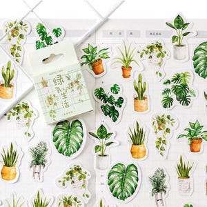 Pegatinas de plantas verdes / Plantas en macetas Hojas Cactus / Pegatinas despegables en minicajas / Diario de scrapbooking