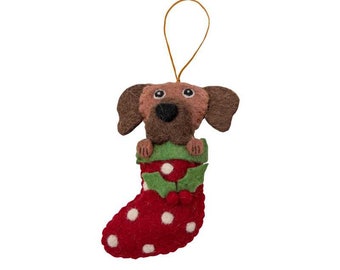 Ridgeback in Christmas Stocking