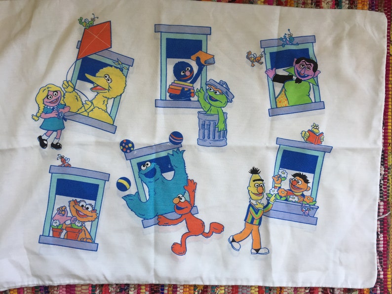 Single Vintage Sesame Street Pillowcase Cookie Big Bird Etsy