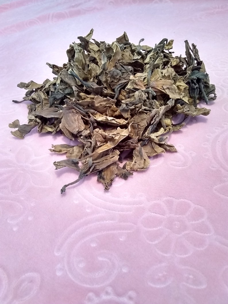 Dried Plumeria Frangipani Flowers Etsy