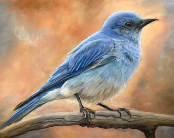 Mountain bluebird pastel print