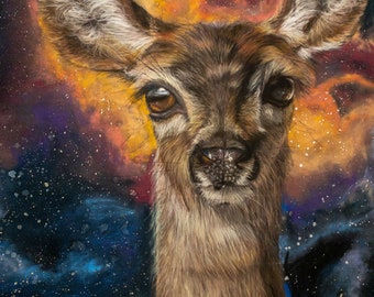 Starry eyed Doe