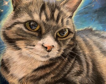 Custom hand crafted pastel pet portrait of your pet! Cat portraits examples