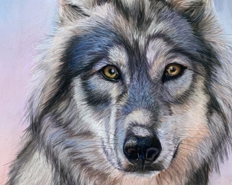 Pastel grey wolf