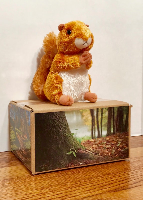real stuffed squirrel