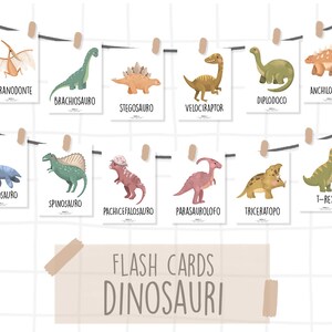 Flash Cards DINOSAURI
