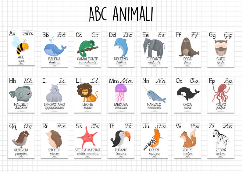 Flash Cards ALFABETO Montessori / ENGLISH alphabeth animali