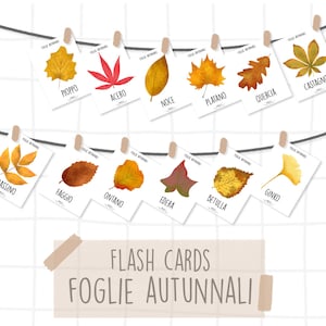 Flash Cards FOGLIE autunnali - Montessori / ENGLISH - autumn leaves