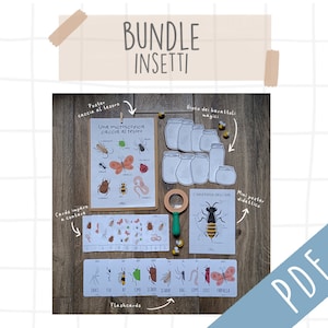BUNDLE insetti - flashcards, poster e giochi PDF