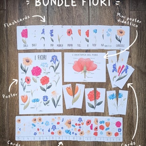 BUNDLE fiori flashcards, poster e giochi PDF immagine 2