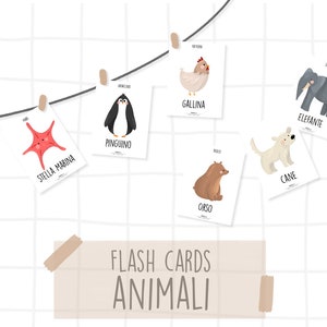 Flash Cards ANIMALI e insetti