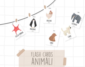 Flash Cards ANIMALI e insetti - Montessori / ENGLISH - animals, bugs