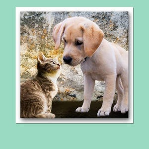 Hamilco Card Stock Scrapbook Paper 12x12 Cream Colored Cardstock 80lb Cover – 50 Pack image 2