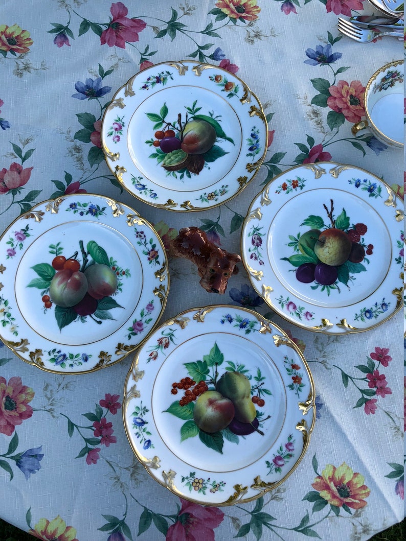 China Dessert Plates Gold Rimmed Vintage China Dishes Wall Decor Garden Party Dinnerware Fruit Decor Plates Hand Painted Kitchen Decor