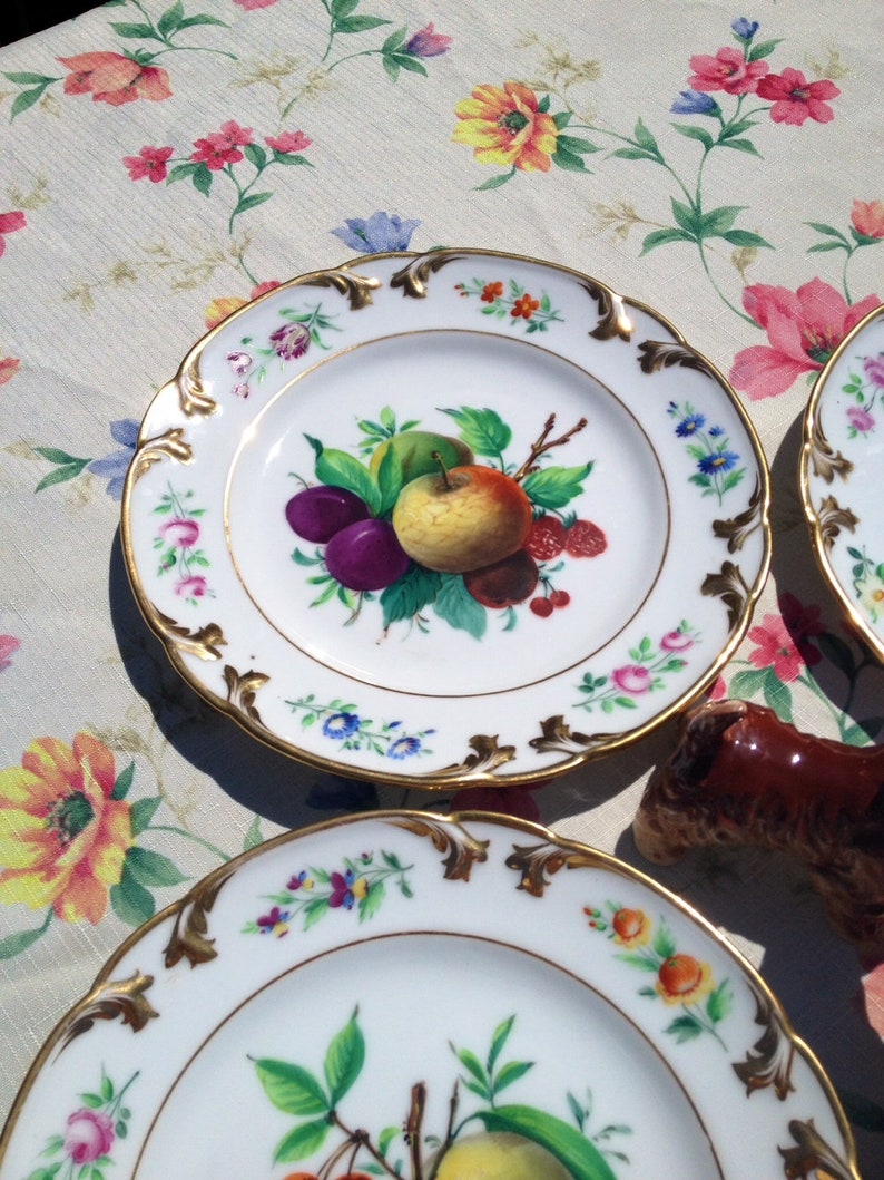 China Dessert Plates Gold Rimmed Vintage China Dishes Wall Decor Garden Party Dinnerware Fruit Decor Plates Hand Painted Kitchen Decor